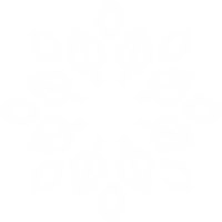 Star Logo